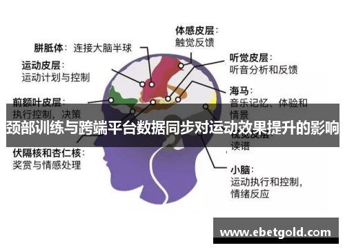 颈部训练与跨端平台数据同步对运动效果提升的影响